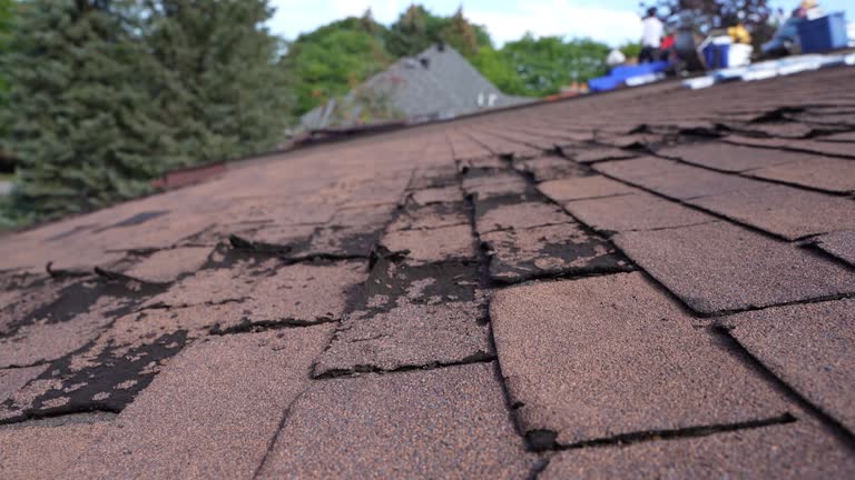 Best Steel Roofing  in Manor, TX